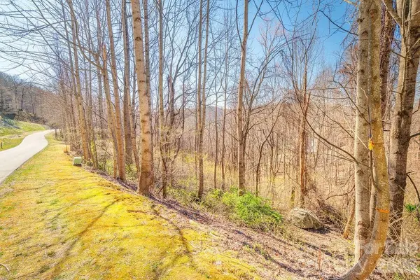 461 Somersby Pkwy, Hendersonville, NC 28739