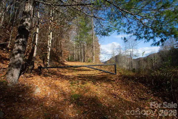 TBD Rector Branch RD #4, Marshall, NC 28743