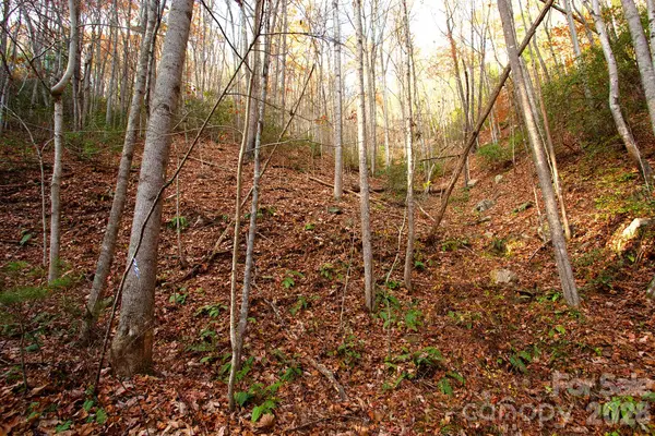 TBD Rector Branch RD #4, Marshall, NC 28743