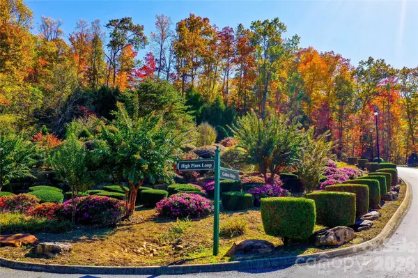 0 High Pines LOOP #157, Lake Lure, NC 28746