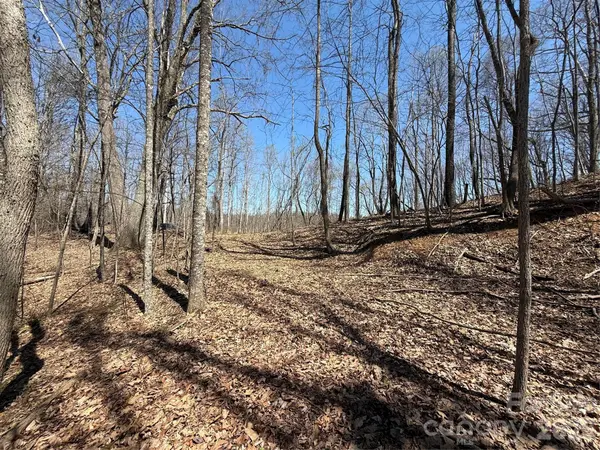 000 Granny Shepherd RD #Lot 3, Mars Hill, NC 28754