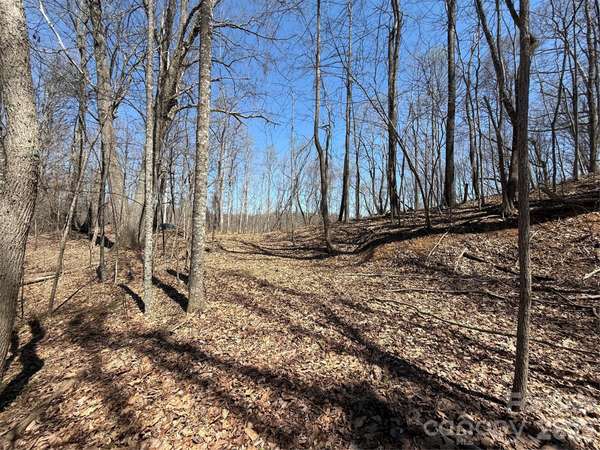 000 Granny Shepherd RD #Lot 3, Mars Hill, NC 28754
