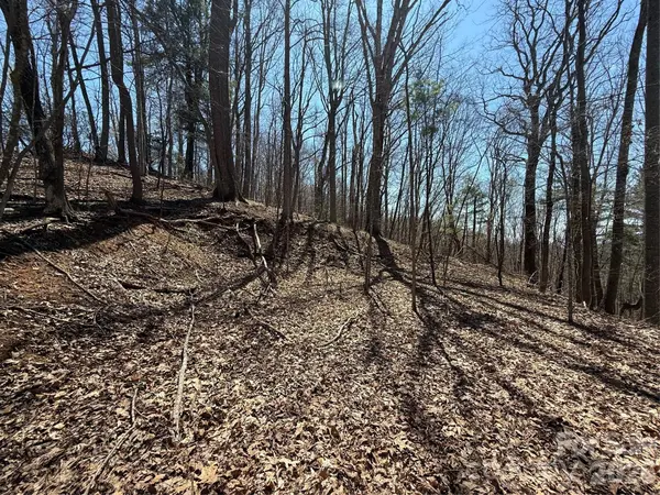 000 Granny Shepherd RD #Lot 3, Mars Hill, NC 28754