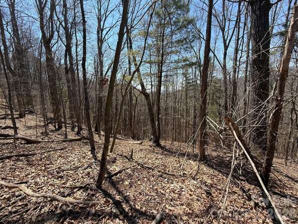 000 Granny Shepherd RD #Lot 3, Mars Hill, NC 28754