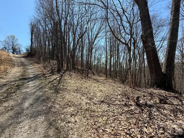 000 Granny Shepherd RD #lot 4, Mars Hill, NC 28754