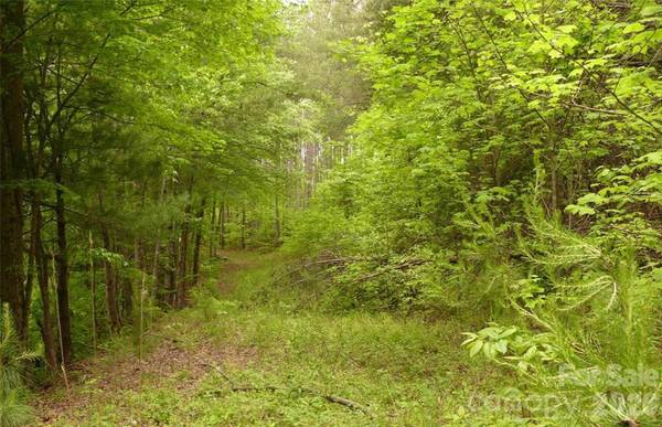 0 Vineyards WAY #14, Lake Lure, NC 28746