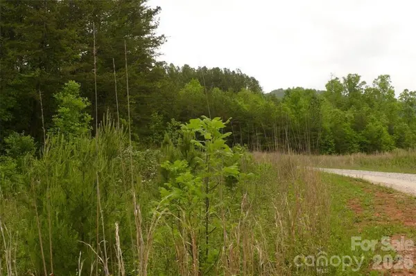 0 Vineyards WAY #14, Lake Lure, NC 28746