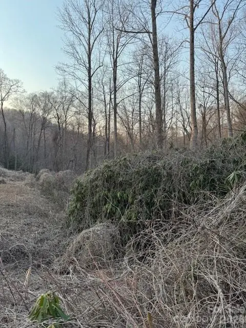 910 Morgan Hill RD, Black Mountain, NC 28711