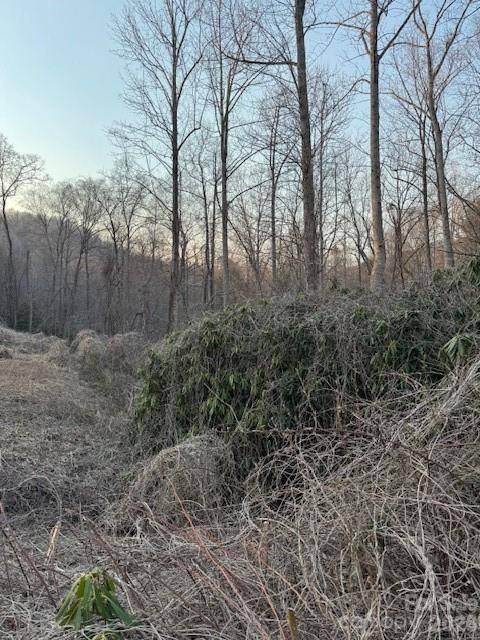 910 Morgan Hill RD, Black Mountain, NC 28711