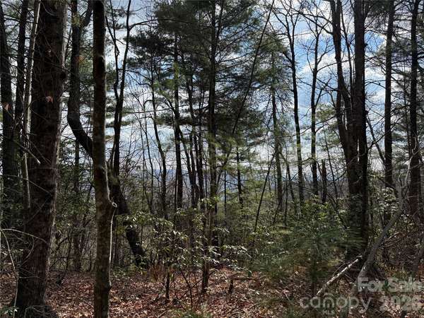 TBD Staghorn RD #51 & 52A, Purlear, NC 28665