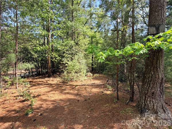 TBD Staghorn RD #51 & 52A, Purlear, NC 28665