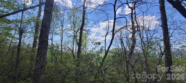 102 High Cliffs TRL, Black Mountain, NC 28711