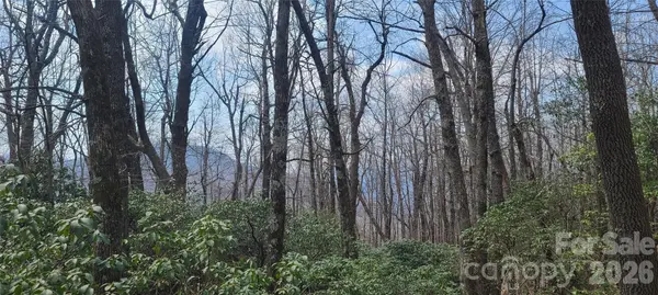 102 High Cliffs TRL, Black Mountain, NC 28711