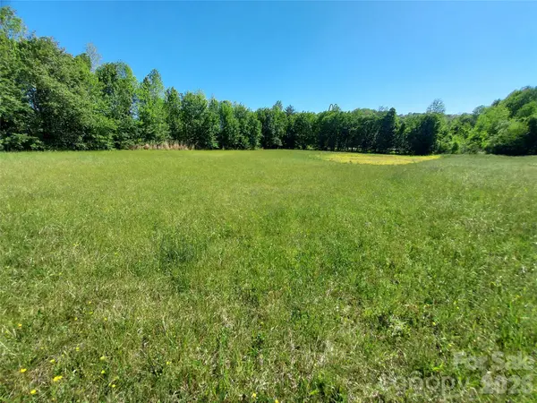 0 Catawba River RD, Old Fort, NC 28762