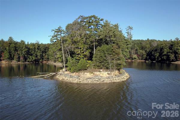 179 Turtle Head DR #14, Nebo, NC 28761