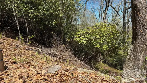 P 2 L020RV Toxaway Cliff #20, Lake Toxaway, NC 28747