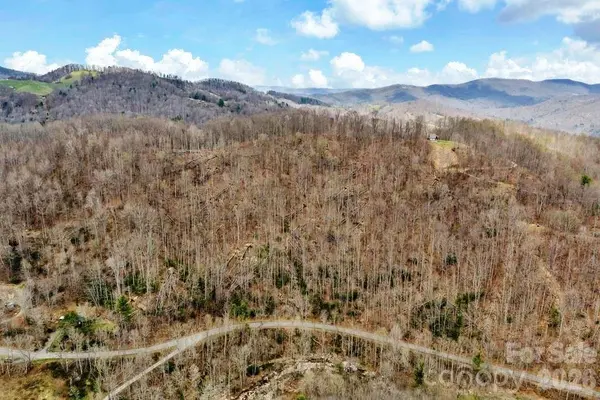 TBD Buckeye RD, Elk Park, NC 28622
