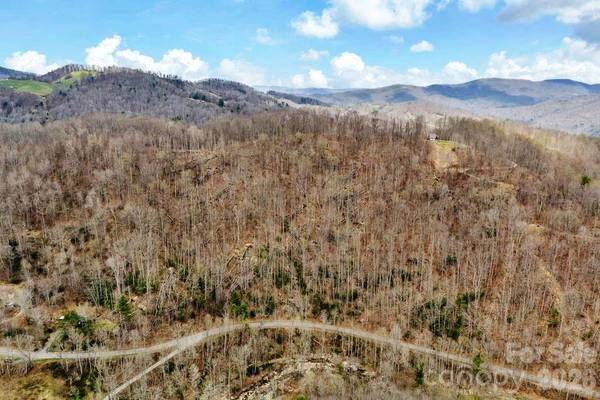 TBD Buckeye RD, Elk Park, NC 28622