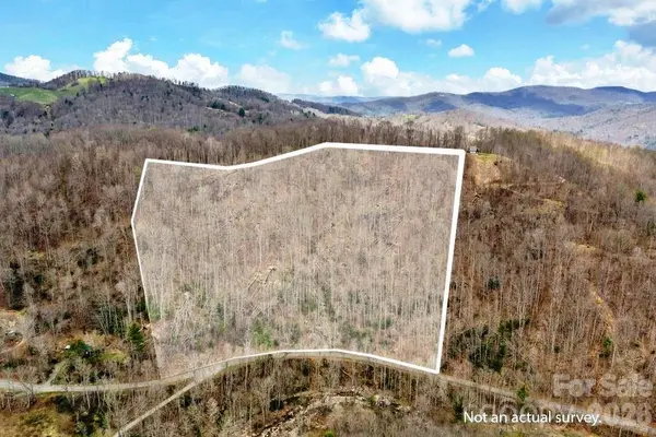 TBD Buckeye RD, Elk Park, NC 28622
