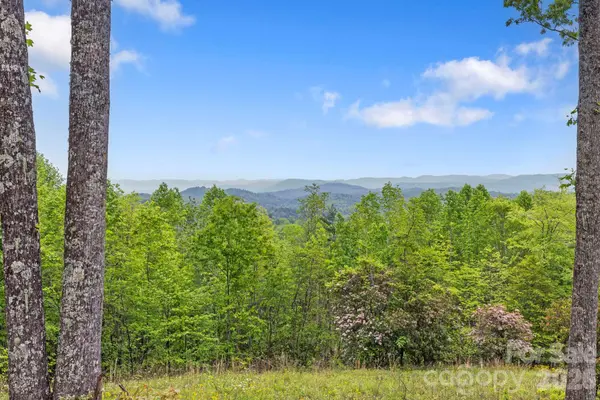 1325 Golden RD, Lake Toxaway, NC 28747