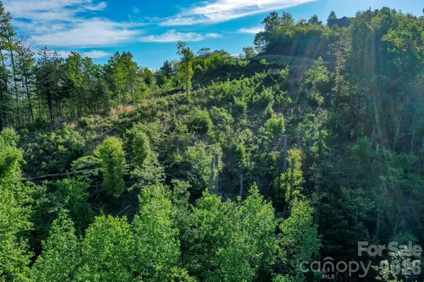000 Golden Ridge DR, Lake Lure, NC 28746