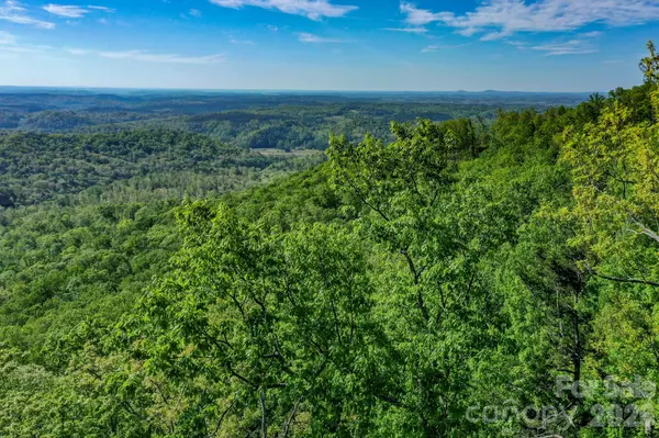 0 Bills Mountain TRL #402, Lake Lure, NC 28746