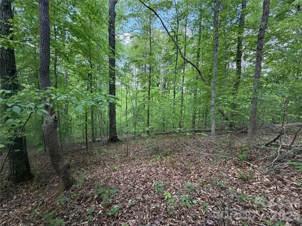0 Overstone DR #284, Rutherfordton, NC 28139