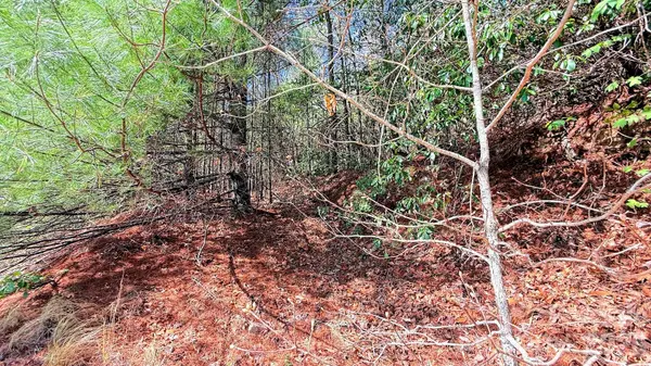 000 Jeter Mountain RD, Hendersonville, NC 28739