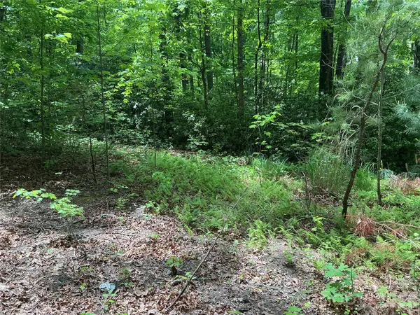 00 Green River Cove RD, Saluda, NC 28773