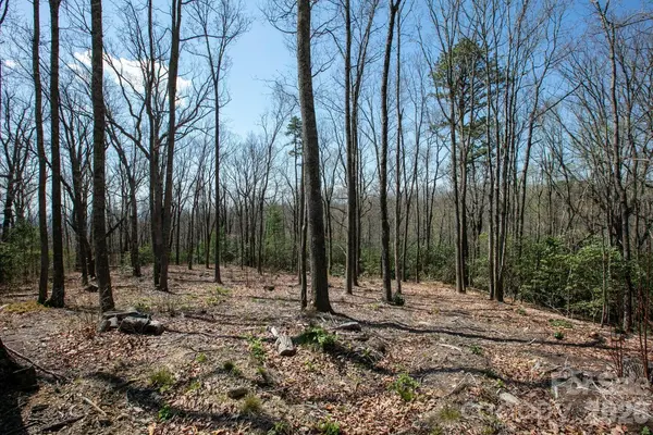 148 Spring Song LN #6, Fletcher, NC 28732
