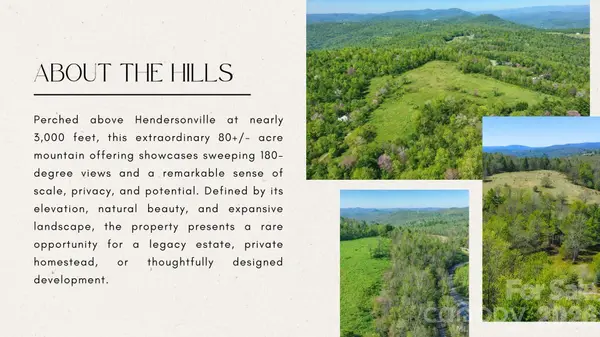 4105 Pinnacle Mountain RD, Zirconia, NC 28790