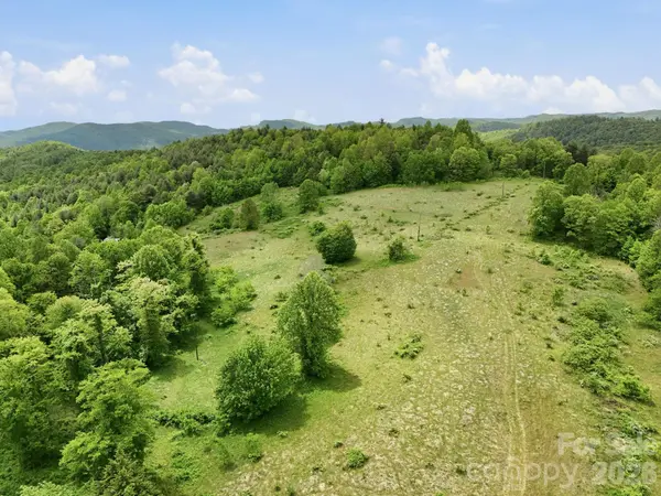 4105 Pinnacle Mountain RD, Zirconia, NC 28790