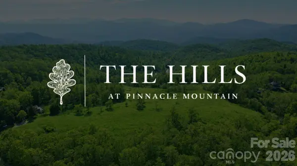 4105 Pinnacle Mountain RD, Zirconia, NC 28790