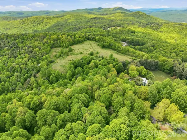 4105 Pinnacle Mountain RD, Zirconia, NC 28790