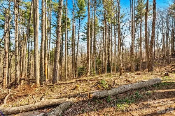 tbd Private DR, Sugar Grove, NC 28679
