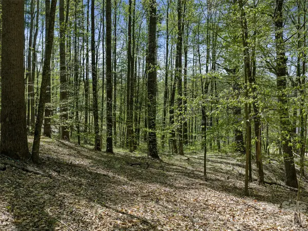 0 Satinwood DR, Burnsville, NC 28714