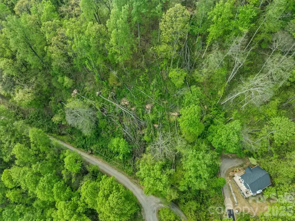 TBD Jacks Knob RD #49, Barnardsville, NC 28709