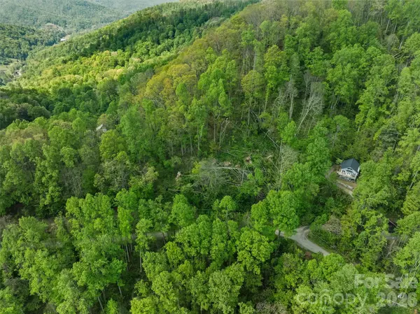 TBD Jacks Knob RD #49, Barnardsville, NC 28709