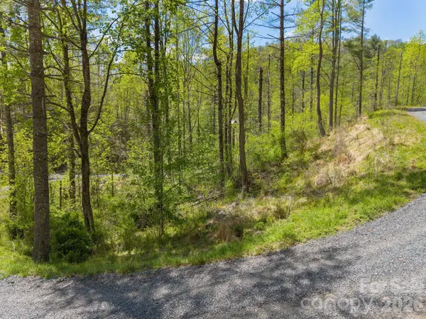 0000 Mountain Crest DR #18, Bakersville, NC 28705
