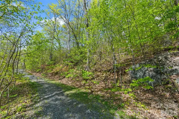 21 Reillys Bluff RD #1, Barnardsville, NC 28709