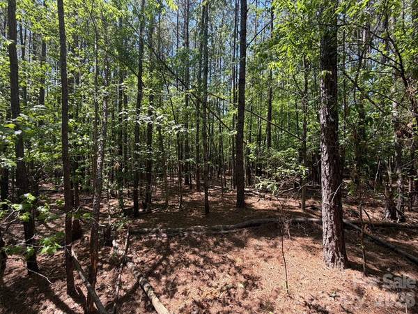 5 AC Terry Drive HWY, Union, SC 29379