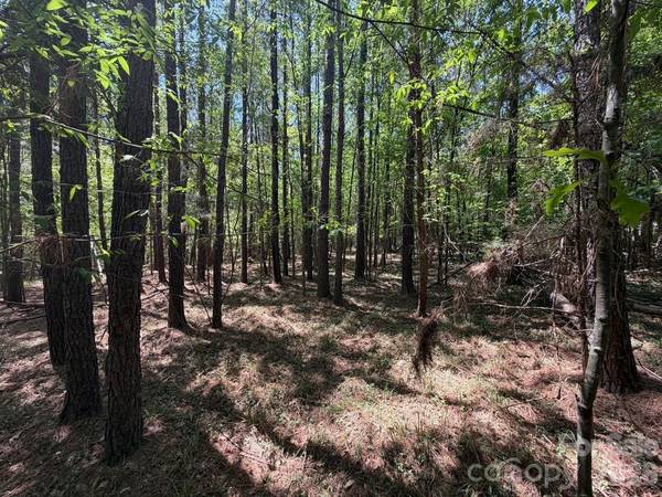5 AC Terry Drive HWY, Union, SC 29379