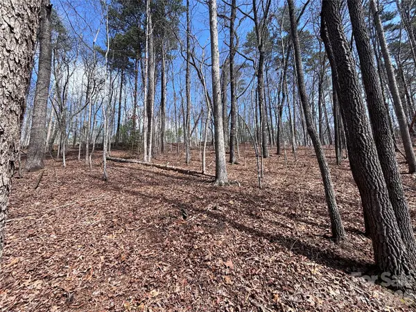 Lot 55-3 Fontana LOOP S, Bryson City, NC 28713