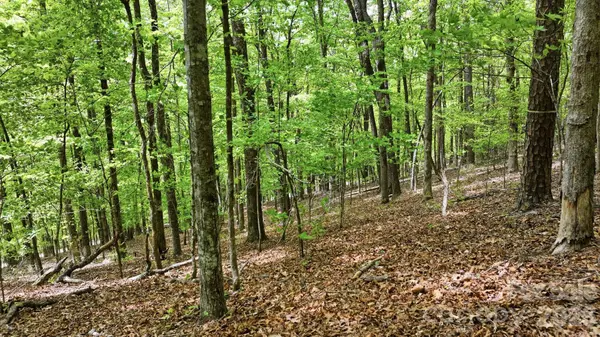Lot 55-3 Fontana LOOP S, Bryson City, NC 28713