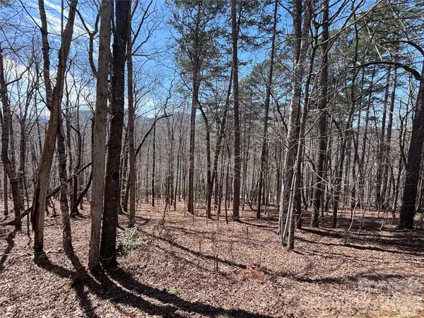 Lot 55-3 Fontana LOOP S, Bryson City, NC 28713