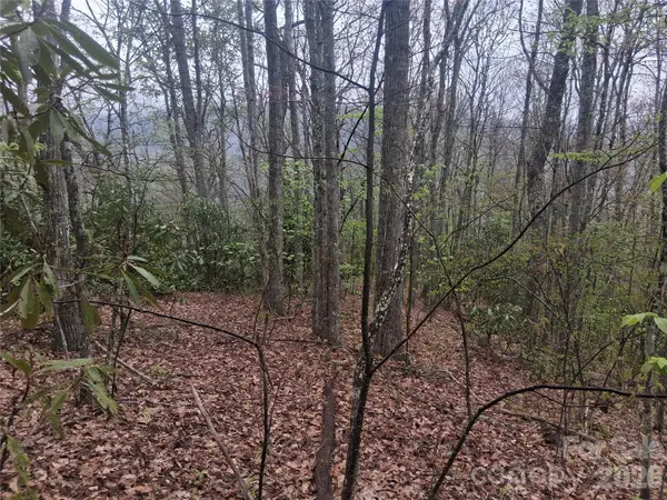 0000 Bear Creek RD, Maggie Valley, NC 28721
