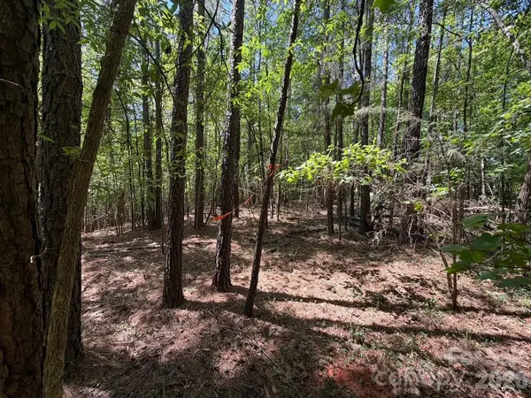 7 AC Terry Drive HWY, Union, SC 29379