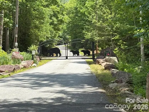 Lot 51B Wilderness DR, Marion, NC 28752