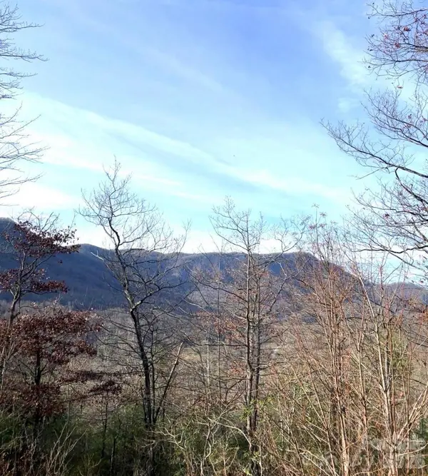 Lot 51B Wilderness DR, Marion, NC 28752