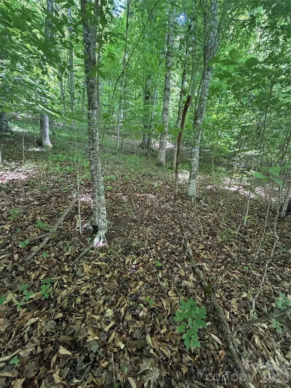 0 Creekside CIR #135, Rutherfordton, NC 28139